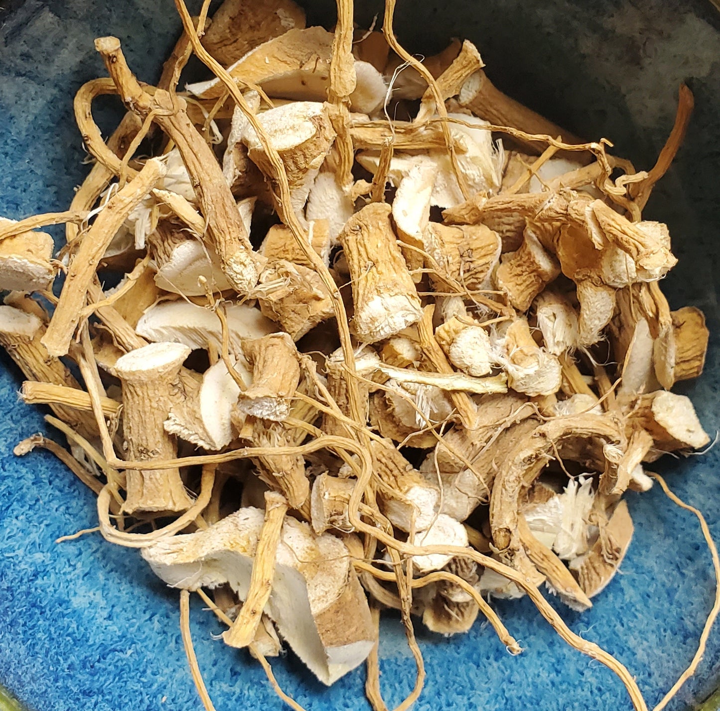 Marshmallow Root (Althaea officinalis)