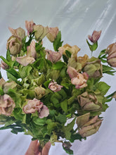 Load image into Gallery viewer, Dried Hellebore (Lenton Rose)
