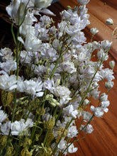 Load image into Gallery viewer, Dried Larkspur

