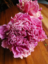 Load image into Gallery viewer, Dried Peony Bundle
