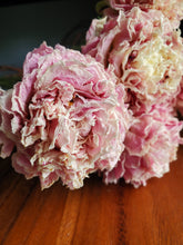 Load image into Gallery viewer, Dried Peony Bundle
