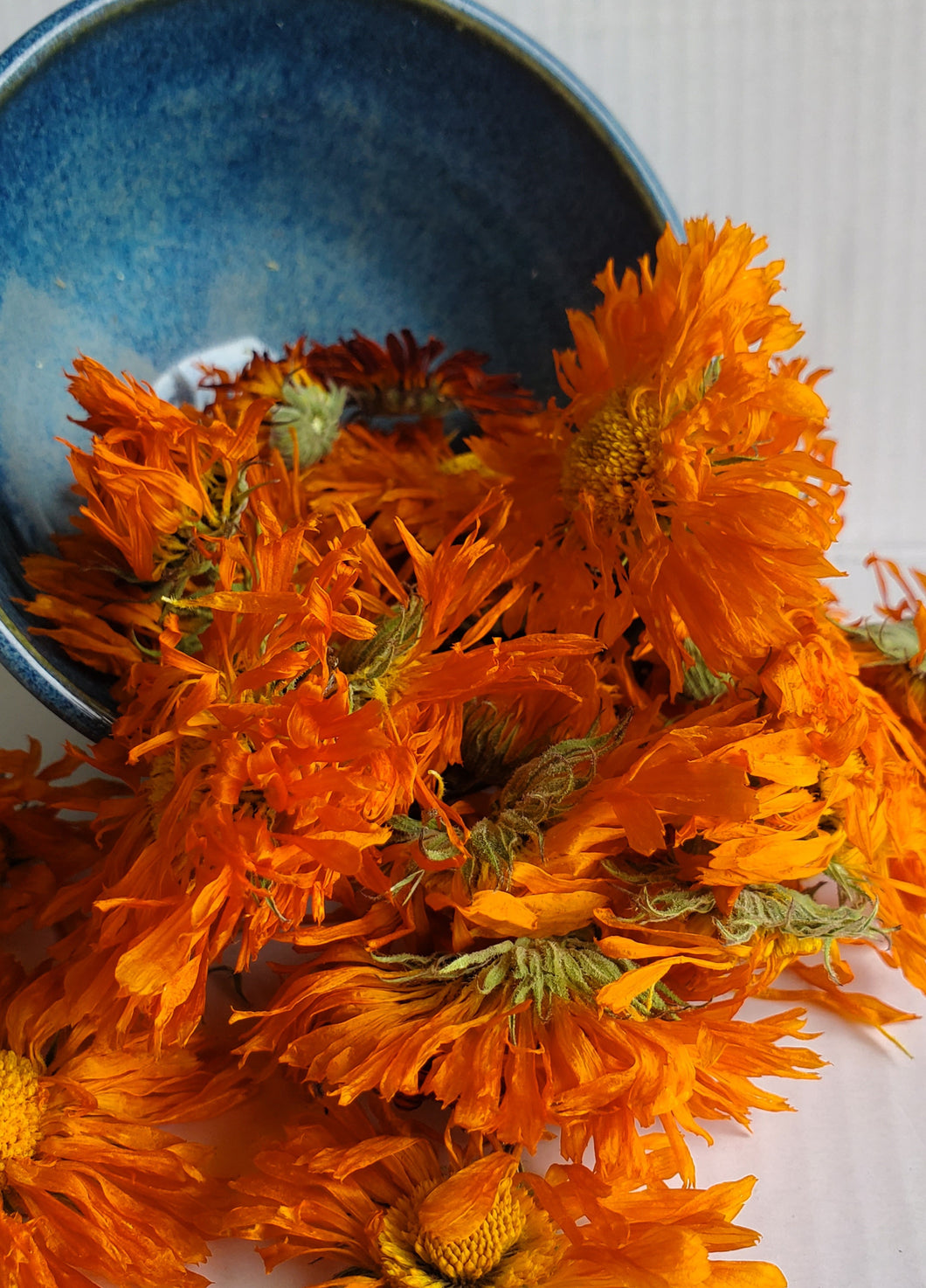 Calendula Flowers (Calendula officinalis)