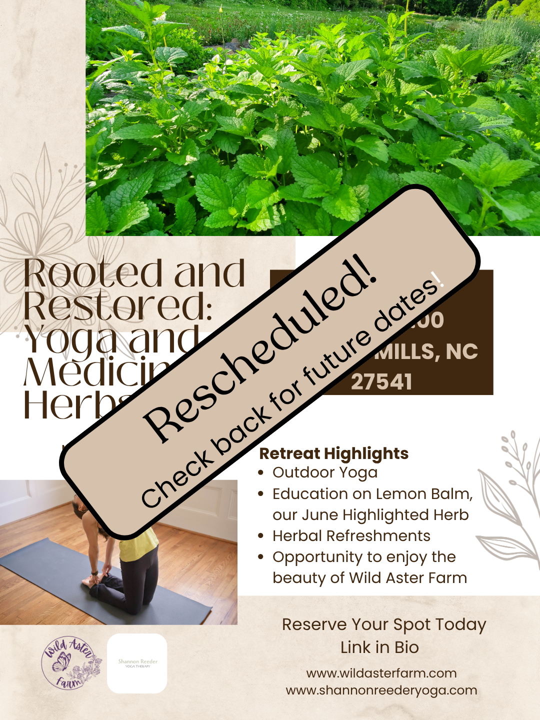 Rooted and Restored: Yoga and Medicinal Herbs