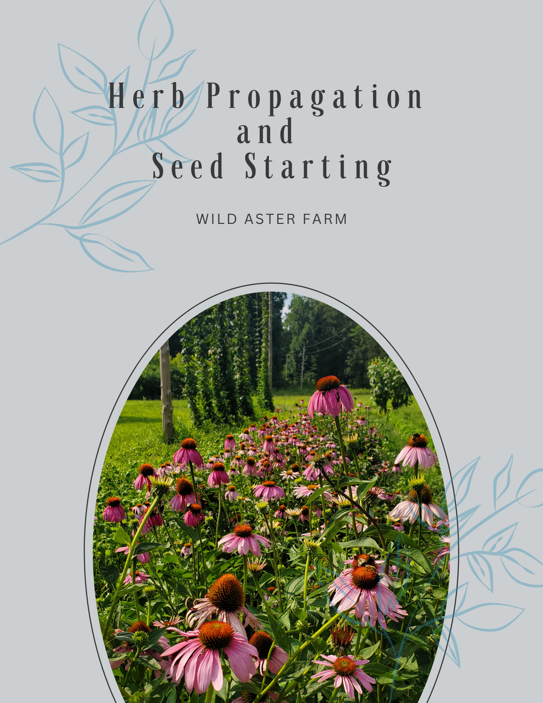 Herb Propagation and Seed Starting Booklet