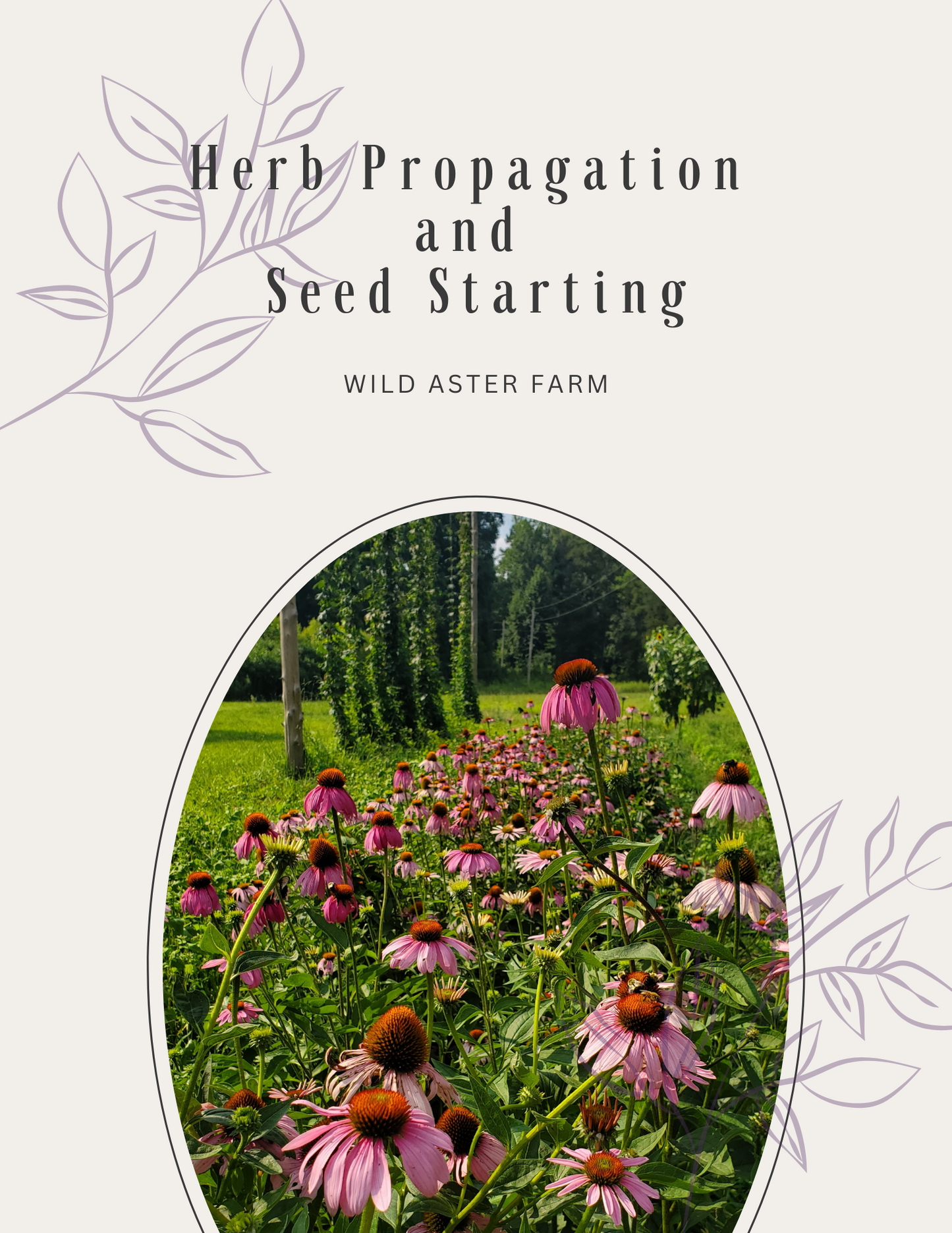 Herb Propagation and Seed Starting Booklet