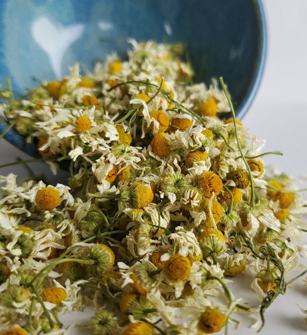 Chamomile (Matricaria chamomilla)