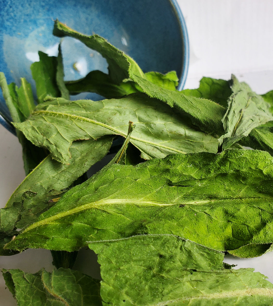 Comfrey Leaves (S. officinale)