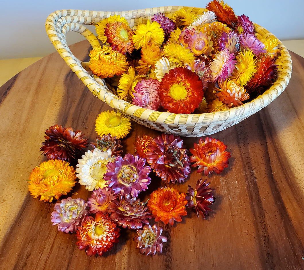 Dried Strawflower Heads