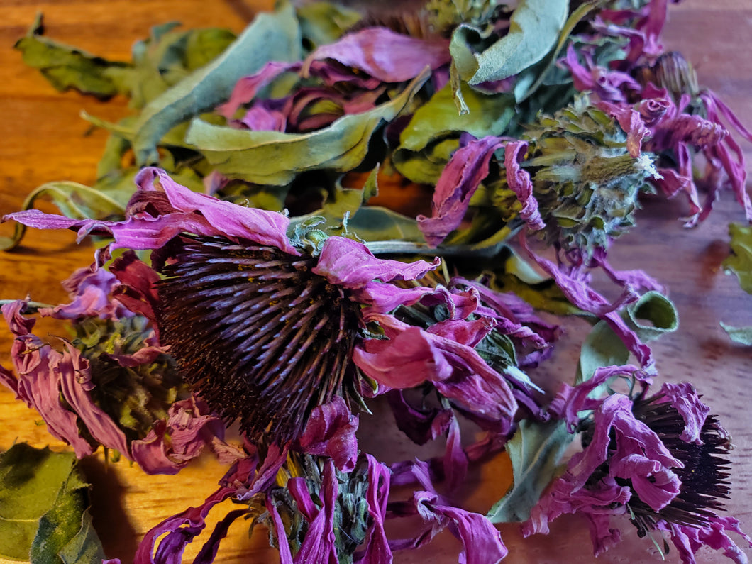 Echinacea Whole Flowers and Leaves (Echinacea purpurea)
